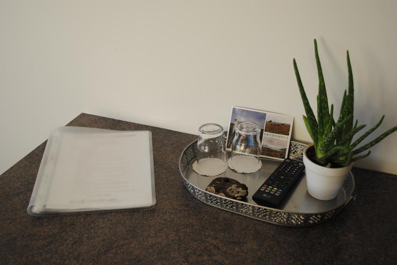 Brunnholl Country Guesthouse Hofn Ngoại thất bức ảnh